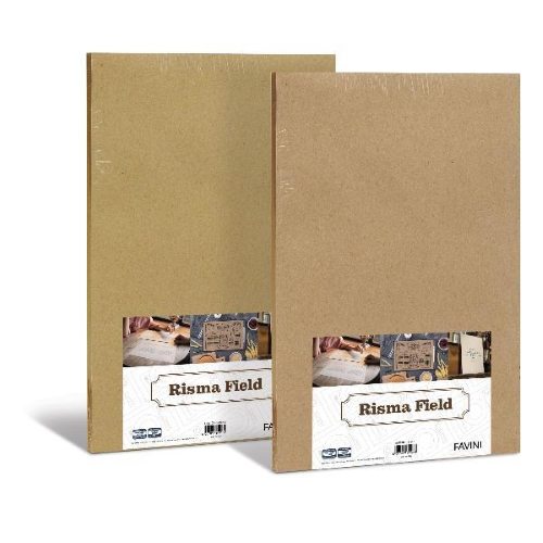 CARTOTECNICA FAVINI CF100FF RISMAFIELD A3 NOCCIOLA 90G